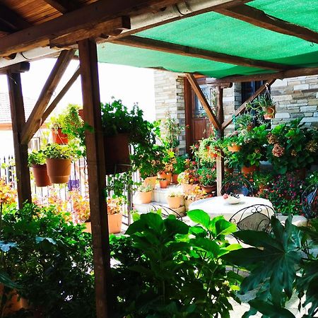 Ξενώνας Κατερίνα Guest House Πορταριά Εξωτερικό φωτογραφία